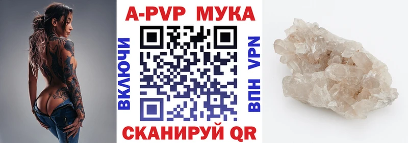 Купить где  Кочубеевское  Alfa_PVP СК 