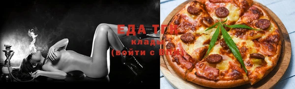 прущие грибы Лабытнанги