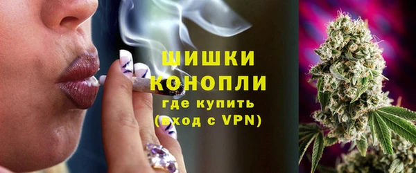 прущие грибы Лабытнанги