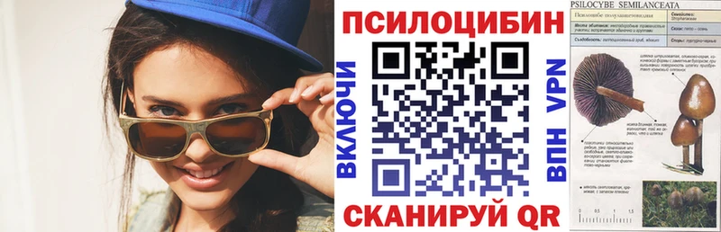 Купить  Кочубеевское  Галлюциногенные грибы Magic Shrooms 